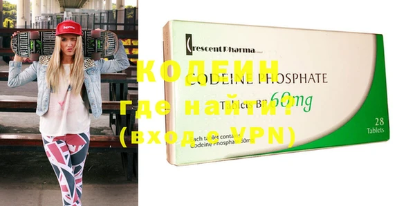 прущие грибы Вязники