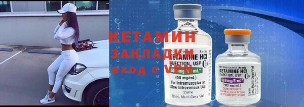 прущие грибы Вязники