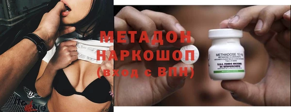 прущие грибы Вязники