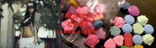прущие грибы Вязники
