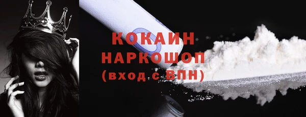 прущие грибы Вязники