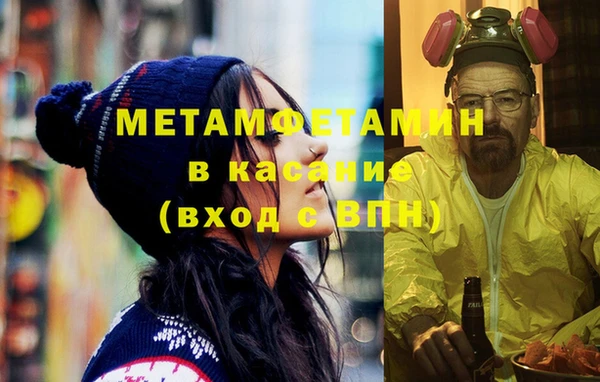 прущие грибы Вязники