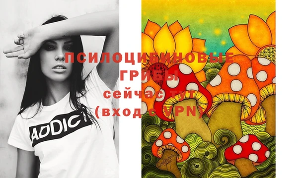 ECSTASY Вязьма