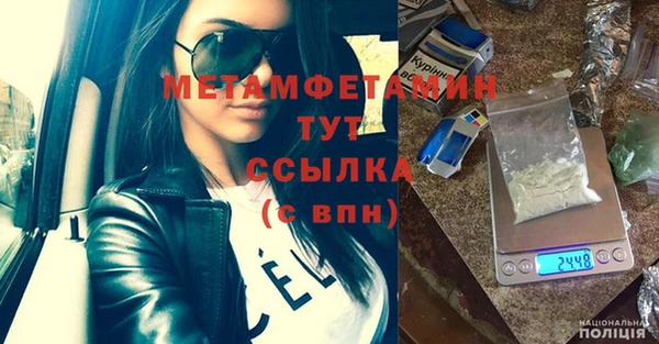 прущие грибы Вязники
