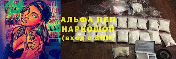 прущие грибы Вязники