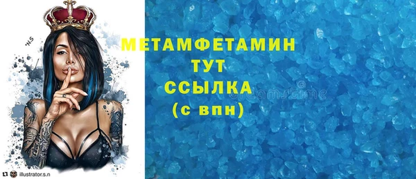 прущие грибы Вязники