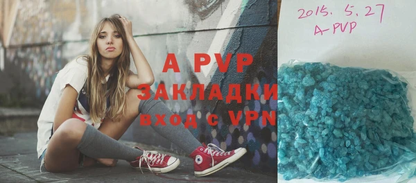 прущие грибы Вязники
