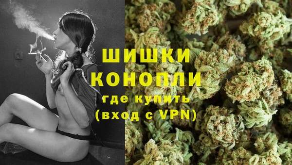 прущие грибы Вязники