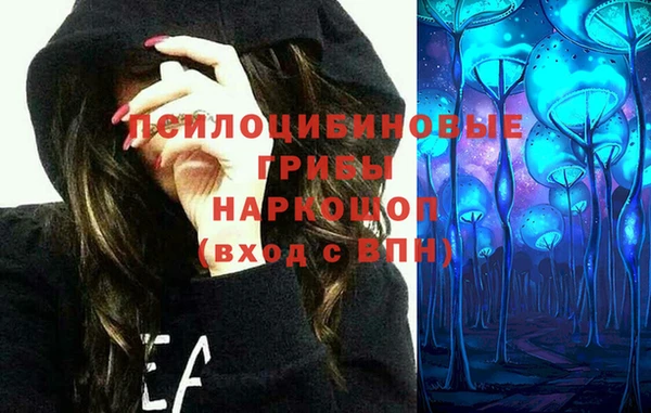 ECSTASY Вязьма