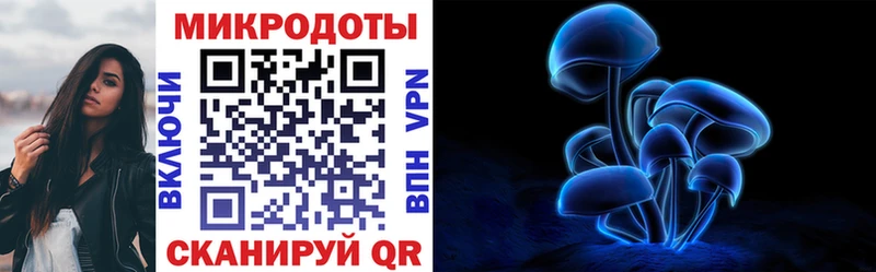 Псилоцибиновые грибы Cubensis  Купить закладки  Новотроицк 